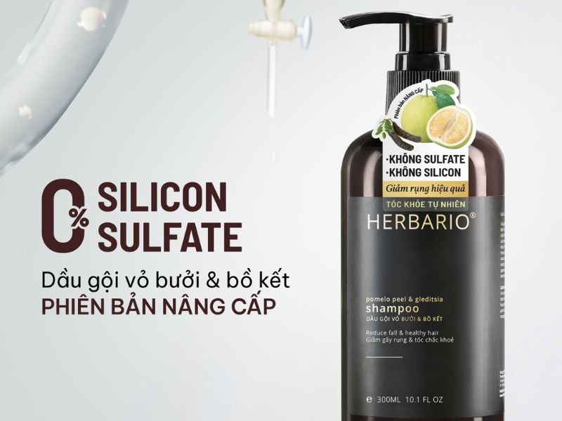 top 5 dau goi khong sulfate khong silicon
