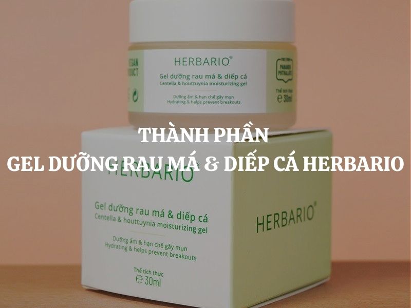 Thành phần Gel dưỡng rau má & diếp cá Herbario: Giải pháp khoa học cho làn da dầu mụn